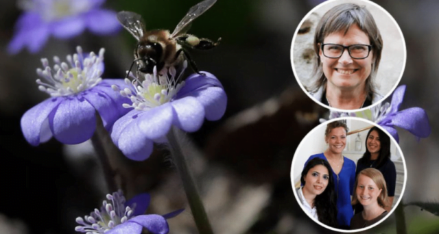 Vi vill se modiga beslut för planetens överlevnad